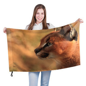 Флаг 3D с принтом Рысь в Кировске, 100% полиэстер | плотность ткани — 95 г/м2, размер — 67 х 109 см. Принт наносится с одной стороны | амурский | животные | киса | кот | котенок | кошка | пума | рысь | серый | тигр | хищник