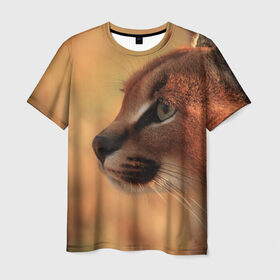 Мужская футболка 3D с принтом Рысь в Кировске, 100% полиэфир | прямой крой, круглый вырез горловины, длина до линии бедер | амурский | животные | киса | кот | котенок | кошка | пума | рысь | серый | тигр | хищник