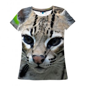 Женская футболка 3D с принтом Дикая кошка в Кировске, 100% полиэфир ( синтетическое хлопкоподобное полотно) | прямой крой, круглый вырез горловины, длина до линии бедер | амурский | животные | киса | кот | котенок | кошка | лев | львица | пума | рысь | серый | тигр | хищник