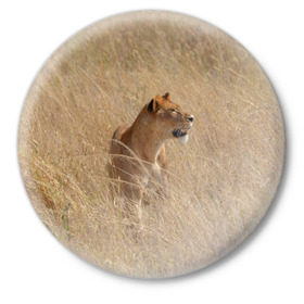 Значок с принтом Львица в траве в Кировске,  металл | круглая форма, металлическая застежка в виде булавки | амурский | животные | киса | кот | котенок | кошка | лев | львица | пума | рысь | серый | тигр | хищник