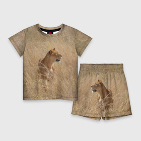 Детский костюм с шортами 3D с принтом Львица в траве в Кировске,  |  | Тематика изображения на принте: амурский | животные | киса | кот | котенок | кошка | лев | львица | пума | рысь | серый | тигр | хищник