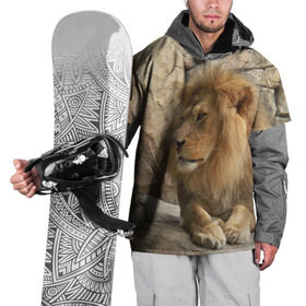 Накидка на куртку 3D с принтом Лев в Кировске, 100% полиэстер |  | Тематика изображения на принте: амурский | животные | киса | кот | котенок | кошка | лев | львица | пума | рысь | серый | тигр | хищник