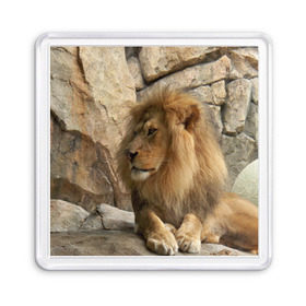 Магнит 55*55 с принтом Лев в Кировске, Пластик | Размер: 65*65 мм; Размер печати: 55*55 мм | амурский | животные | киса | кот | котенок | кошка | лев | львица | пума | рысь | серый | тигр | хищник