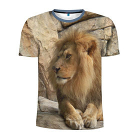 Мужская футболка 3D спортивная с принтом Лев в Кировске, 100% полиэстер с улучшенными характеристиками | приталенный силуэт, круглая горловина, широкие плечи, сужается к линии бедра | амурский | животные | киса | кот | котенок | кошка | лев | львица | пума | рысь | серый | тигр | хищник