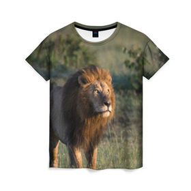 Женская футболка 3D с принтом Лев в Кировске, 100% полиэфир ( синтетическое хлопкоподобное полотно) | прямой крой, круглый вырез горловины, длина до линии бедер | амурский | животные | киса | кот | котенок | кошка | лев | львица | пума | рысь | серый | тигр | хищник