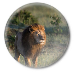 Значок с принтом Лев в Кировске,  металл | круглая форма, металлическая застежка в виде булавки | амурский | животные | киса | кот | котенок | кошка | лев | львица | пума | рысь | серый | тигр | хищник