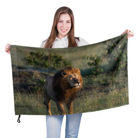 Флаг 3D с принтом Лев в Кировске, 100% полиэстер | плотность ткани — 95 г/м2, размер — 67 х 109 см. Принт наносится с одной стороны | амурский | животные | киса | кот | котенок | кошка | лев | львица | пума | рысь | серый | тигр | хищник