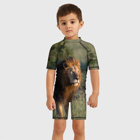 Детский купальный костюм 3D с принтом Лев в Кировске, Полиэстер 85%, Спандекс 15% | застежка на молнии на спине | амурский | животные | киса | кот | котенок | кошка | лев | львица | пума | рысь | серый | тигр | хищник