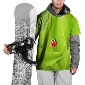 Накидка на куртку 3D с принтом Жучки на травке в Кировске, 100% полиэстер |  | жук | зеленый | зелень | красный | насекомые | природа