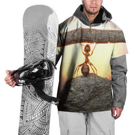 Накидка на куртку 3D с принтом Муравей в Кировске, 100% полиэстер |  | ветка | жук | закат | камень | муравей | насекомые | природа