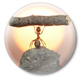 Значок с принтом Муравей в Кировске,  металл | круглая форма, металлическая застежка в виде булавки | ветка | жук | закат | камень | муравей | насекомые | природа