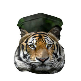 Бандана-труба 3D с принтом Тигр в джунглях в Кировске, 100% полиэстер, ткань с особыми свойствами — Activecool | плотность 150‒180 г/м2; хорошо тянется, но сохраняет форму | амурский | животные | зверь | киса | кот | котенок | кошка | тигр | хищник