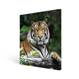 Холст квадратный с принтом Тигр в джунглях в Кировске, 100% ПВХ |  | амурский | животные | зверь | киса | кот | котенок | кошка | тигр | хищник