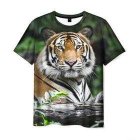 Мужская футболка 3D с принтом Тигр в джунглях в Кировске, 100% полиэфир | прямой крой, круглый вырез горловины, длина до линии бедер | Тематика изображения на принте: амурский | животные | зверь | киса | кот | котенок | кошка | тигр | хищник
