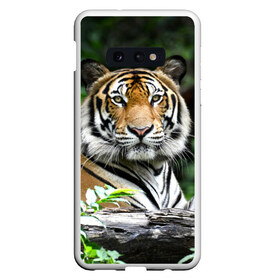 Чехол для Samsung S10E с принтом Тигр в джунглях в Кировске, Силикон | Область печати: задняя сторона чехла, без боковых панелей | амурский | животные | зверь | киса | кот | котенок | кошка | тигр | хищник