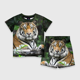 Детский костюм с шортами 3D с принтом Тигр в джунглях в Кировске,  |  | Тематика изображения на принте: амурский | животные | зверь | киса | кот | котенок | кошка | тигр | хищник