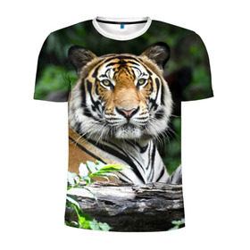 Мужская футболка 3D спортивная с принтом Тигр в джунглях в Кировске, 100% полиэстер с улучшенными характеристиками | приталенный силуэт, круглая горловина, широкие плечи, сужается к линии бедра | амурский | животные | зверь | киса | кот | котенок | кошка | тигр | хищник