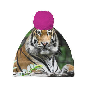 Шапка 3D c помпоном с принтом Тигр в джунглях в Кировске, 100% полиэстер | универсальный размер, печать по всей поверхности изделия | амурский | животные | зверь | киса | кот | котенок | кошка | тигр | хищник
