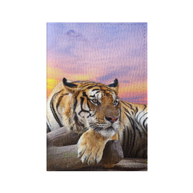 Обложка для паспорта матовая кожа с принтом Тигр в Кировске, натуральная матовая кожа | размер 19,3 х 13,7 см; прозрачные пластиковые крепления | амурский | животные | зверь | киса | кот | котенок | кошка | тигр | хищник
