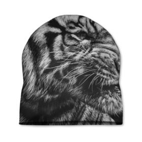 Шапка 3D с принтом Тигр в Кировске, 100% полиэстер | универсальный размер, печать по всей поверхности изделия | амурский | животные | зверь | киса | кот | котенок | кошка | серый | тигр | тигренок | хищник
