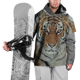 Накидка на куртку 3D с принтом Тигр в Кировске, 100% полиэстер |  | амурский | животные | зверь | киса | кот | котенок | кошка | тигр | хищник