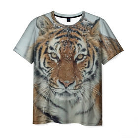 Мужская футболка 3D с принтом Тигр в Кировске, 100% полиэфир | прямой крой, круглый вырез горловины, длина до линии бедер | амурский | животные | зверь | киса | кот | котенок | кошка | тигр | хищник