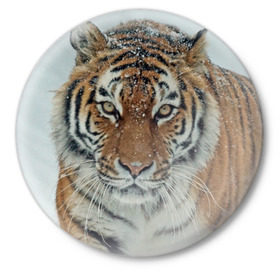 Значок с принтом Тигр в Кировске,  металл | круглая форма, металлическая застежка в виде булавки | Тематика изображения на принте: амурский | животные | зверь | киса | кот | котенок | кошка | тигр | хищник