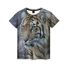 Женская футболка 3D с принтом Тигр в Кировске, 100% полиэфир ( синтетическое хлопкоподобное полотно) | прямой крой, круглый вырез горловины, длина до линии бедер | амурский | животные | зверь | киса | кот | котенок | кошка | тигр | хищник