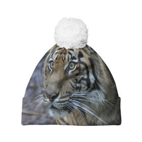 Шапка 3D c помпоном с принтом Тигр в Кировске, 100% полиэстер | универсальный размер, печать по всей поверхности изделия | амурский | животные | зверь | киса | кот | котенок | кошка | тигр | хищник