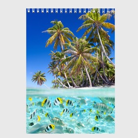 Скетчбук с принтом Таиланд в Кировске, 100% бумага
 | 48 листов, плотность листов — 100 г/м2, плотность картонной обложки — 250 г/м2. Листы скреплены сверху удобной пружинной спиралью | clouds | fish | nature | palm trees | sea | sky | thailand | tourism | water | вода | море | небо | облака | пальмы | природа | рыбки | таиланд | туризм