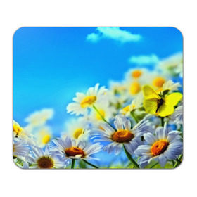 Коврик прямоугольный с принтом Ромашка полевая в Кировске, натуральный каучук | размер 230 х 185 мм; запечатка лицевой стороны | flower | лето | поле | полевой цветок | цветочки | цветы