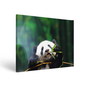 Холст прямоугольный с принтом Панда на ветке в Кировске, 100% ПВХ |  | Тематика изображения на принте: животные | лес | медведь | медвежонок | панда | природа