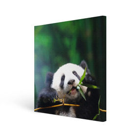 Холст квадратный с принтом Панда на ветке в Кировске, 100% ПВХ |  | Тематика изображения на принте: животные | лес | медведь | медвежонок | панда | природа
