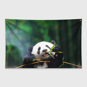 Флаг-баннер с принтом Панда на ветке в Кировске, 100% полиэстер | размер 67 х 109 см, плотность ткани — 95 г/м2; по краям флага есть четыре люверса для крепления | животные | лес | медведь | медвежонок | панда | природа