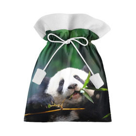 Подарочный 3D мешок с принтом Панда на ветке в Кировске, 100% полиэстер | Размер: 29*39 см | Тематика изображения на принте: животные | лес | медведь | медвежонок | панда | природа