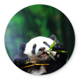 Коврик круглый с принтом Панда на ветке в Кировске, резина и полиэстер | круглая форма, изображение наносится на всю лицевую часть | животные | лес | медведь | медвежонок | панда | природа