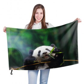 Флаг 3D с принтом Панда на ветке в Кировске, 100% полиэстер | плотность ткани — 95 г/м2, размер — 67 х 109 см. Принт наносится с одной стороны | животные | лес | медведь | медвежонок | панда | природа