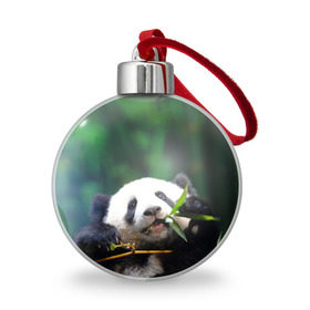 Ёлочный шар с принтом Панда на ветке в Кировске, Пластик | Диаметр: 77 мм | Тематика изображения на принте: животные | лес | медведь | медвежонок | панда | природа