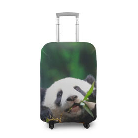 Чехол для чемодана 3D с принтом Панда на ветке в Кировске, 86% полиэфир, 14% спандекс | двустороннее нанесение принта, прорези для ручек и колес | животные | лес | медведь | медвежонок | панда | природа