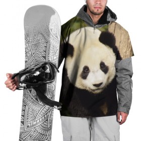 Накидка на куртку 3D с принтом Панда на дереве в Кировске, 100% полиэстер |  | животные | лес | медведь | медвежонок | панда | природа