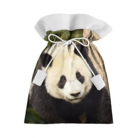 Подарочный 3D мешок с принтом Панда на дереве в Кировске, 100% полиэстер | Размер: 29*39 см | Тематика изображения на принте: животные | лес | медведь | медвежонок | панда | природа