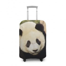 Чехол для чемодана 3D с принтом Панда на дереве в Кировске, 86% полиэфир, 14% спандекс | двустороннее нанесение принта, прорези для ручек и колес | животные | лес | медведь | медвежонок | панда | природа