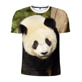 Мужская футболка 3D спортивная с принтом Панда на дереве в Кировске, 100% полиэстер с улучшенными характеристиками | приталенный силуэт, круглая горловина, широкие плечи, сужается к линии бедра | Тематика изображения на принте: животные | лес | медведь | медвежонок | панда | природа