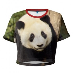 Женская футболка 3D укороченная с принтом Панда на дереве в Кировске, 100% полиэстер | круглая горловина, длина футболки до линии талии, рукава с отворотами | животные | лес | медведь | медвежонок | панда | природа