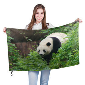 Флаг 3D с принтом Панда в лесу в Кировске, 100% полиэстер | плотность ткани — 95 г/м2, размер — 67 х 109 см. Принт наносится с одной стороны | животные | лес | медведь | медвежонок | панда | природа