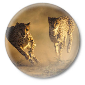 Значок с принтом Гепард в Кировске,  металл | круглая форма, металлическая застежка в виде булавки | Тематика изображения на принте: амурский | гепард | животные | зверь | киса | кот | котенок | кошка | лев | леопард | пума | рысь | серый | тигр | тигренок | хищник