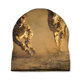 Шапка 3D с принтом Гепард в Кировске, 100% полиэстер | универсальный размер, печать по всей поверхности изделия | Тематика изображения на принте: амурский | гепард | животные | зверь | киса | кот | котенок | кошка | лев | леопард | пума | рысь | серый | тигр | тигренок | хищник