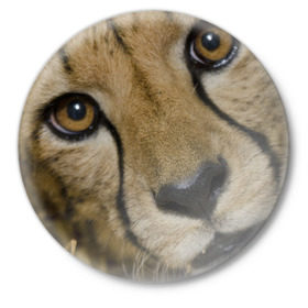 Значок с принтом Гепард в Кировске,  металл | круглая форма, металлическая застежка в виде булавки | Тематика изображения на принте: амурский | гепард | животные | зверь | киса | кот | котенок | кошка | лев | леопард | пума | рысь | серый | тигр | тигренок | хищник