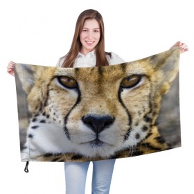 Флаг 3D с принтом Гепард в Кировске, 100% полиэстер | плотность ткани — 95 г/м2, размер — 67 х 109 см. Принт наносится с одной стороны | амурский | гепард | животные | зверь | киса | кот | котенок | кошка | лев | леопард | пума | рысь | серый | тигр | тигренок | хищник