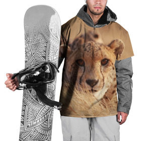 Накидка на куртку 3D с принтом Гепард в Кировске, 100% полиэстер |  | Тематика изображения на принте: амурский | гепард | животные | зверь | киса | кот | котенок | кошка | лев | леопард | пума | рысь | серый | тигр | тигренок | хищник